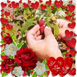 Meet your Posher, Razberry